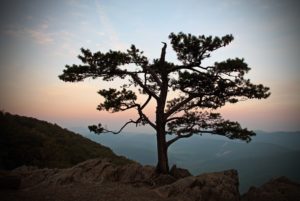 Ravens Roost Overlook